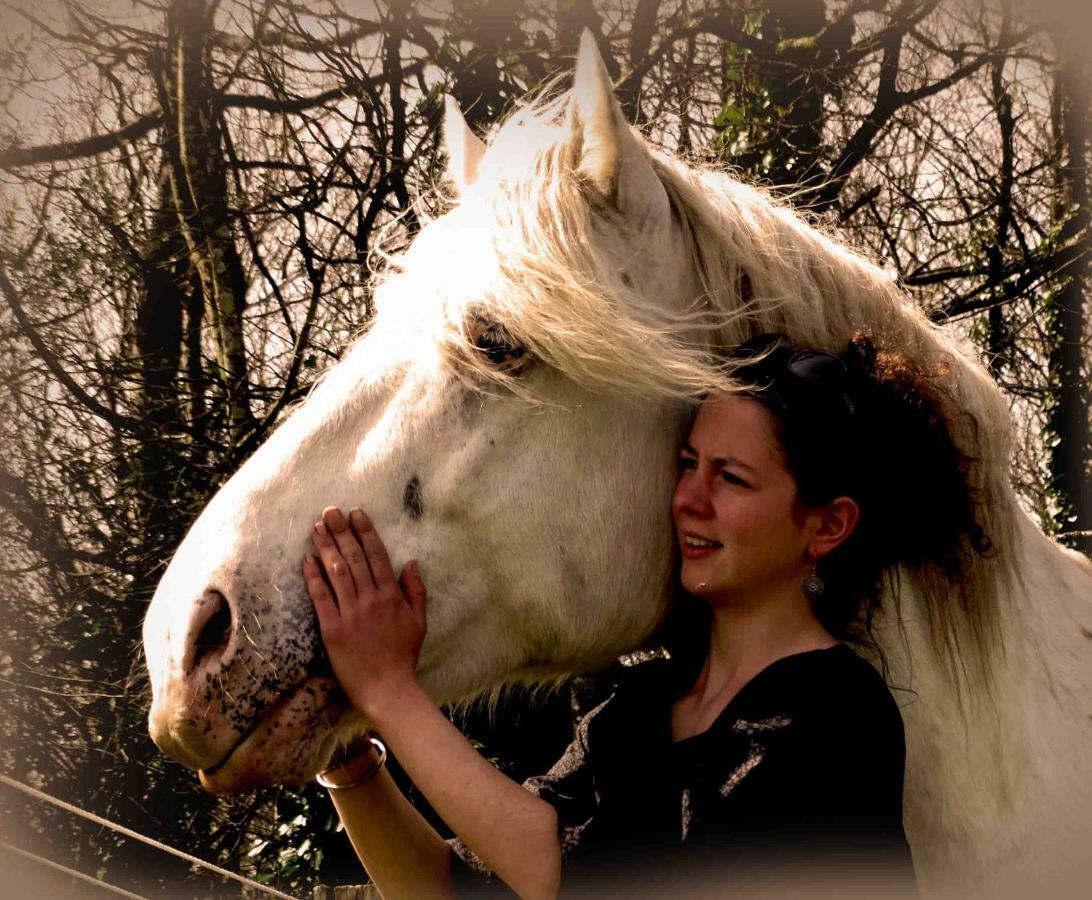Une Roulotte Et Des Chevaux Treffléan Exterior photo